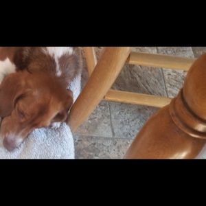 Meet your Posher, Janice